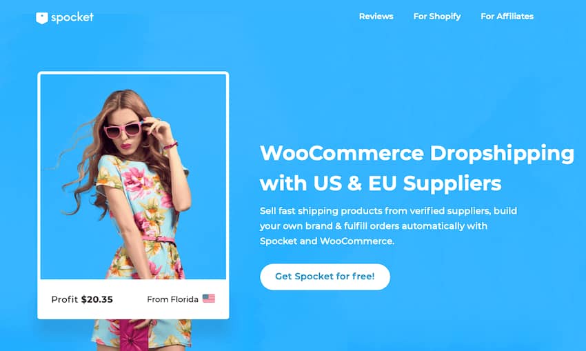 2022 年 WordPress 和 WooCommerce 的 20 个最佳直销主题-第27张图片-嘻嘻笔记