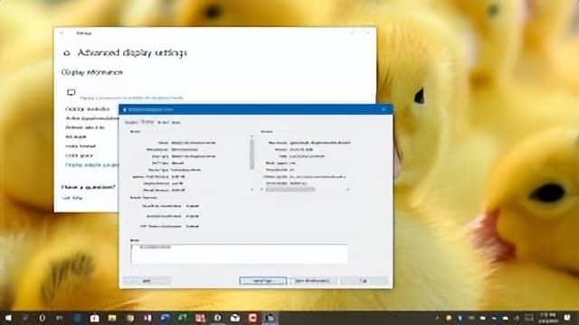 Windows10指南：如何使用设备管理器查看显卡？-第1张图片-嘻嘻笔记