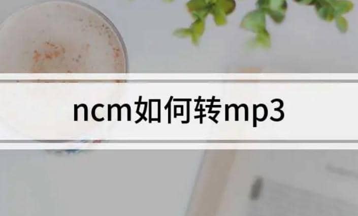 ncm格式怎么在线转换为mp3格式？网易云VIP音乐下载后ncm格式无法导入PR怎么办？