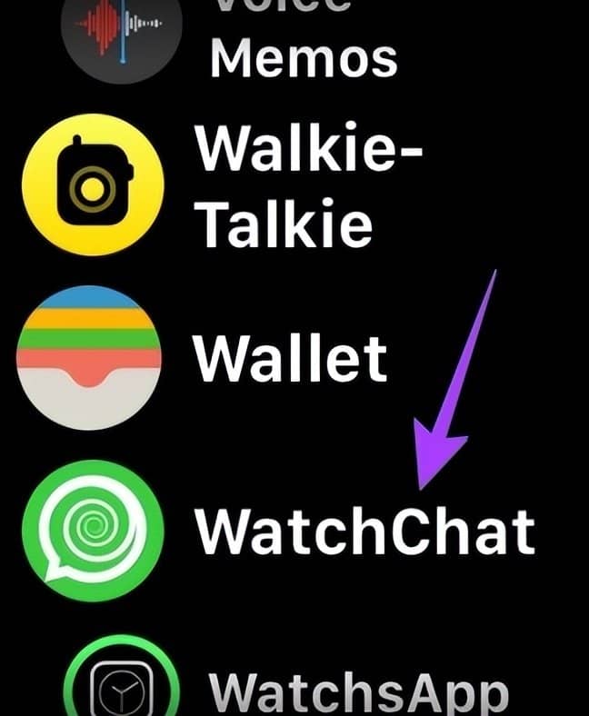 如何在 Apple Watch 上使用 WhatsApp-第13张图片-嘻嘻笔记