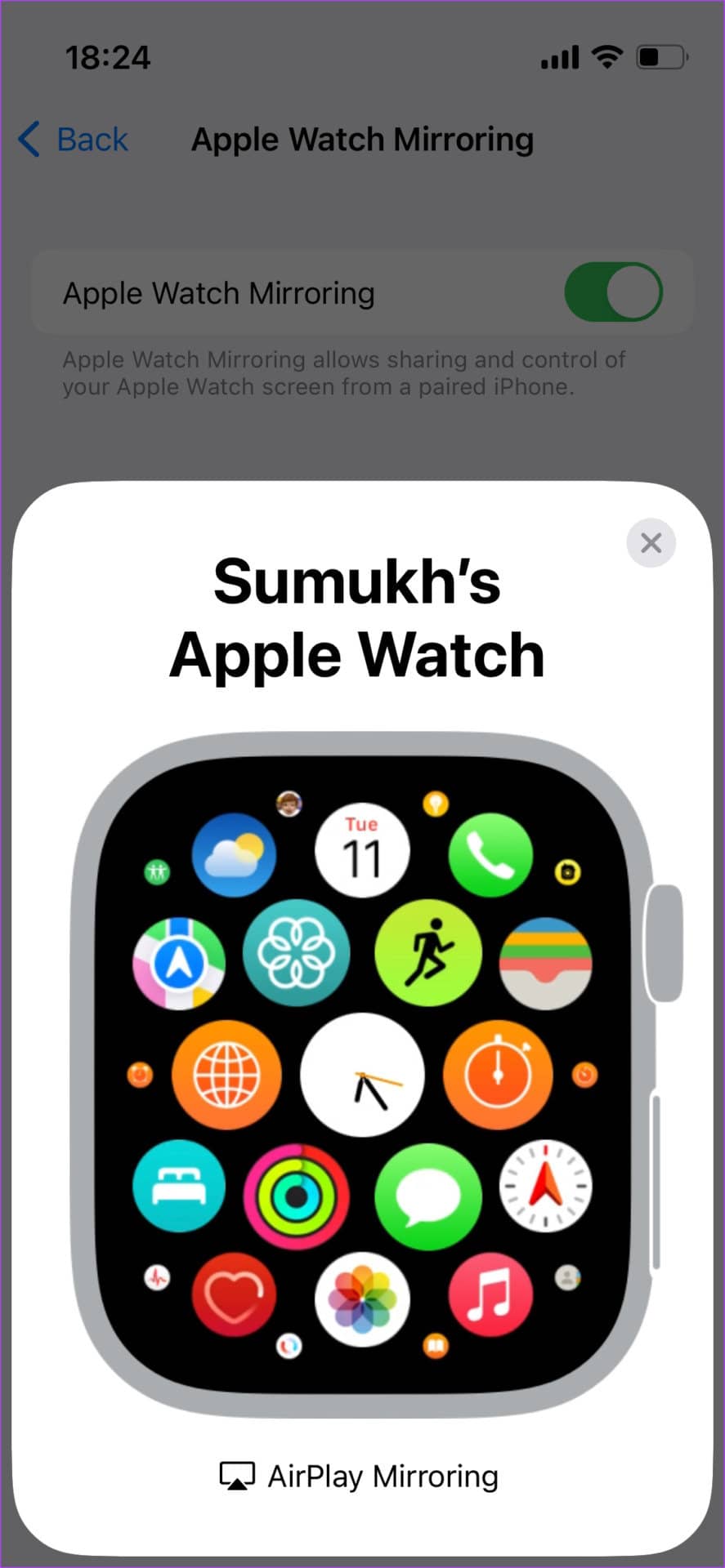 如何将 Apple Watch 屏幕镜像到你的 iPhone 上并控制它-第8张图片-嘻嘻笔记