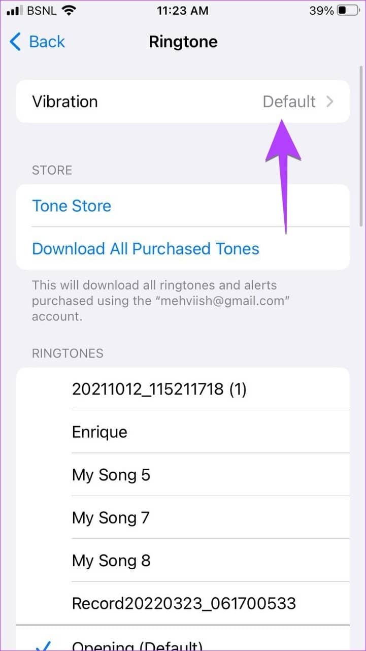 如何让 iPhone 在静音时振动或不振动（包括 iOS 16）-第14张图片-嘻嘻笔记