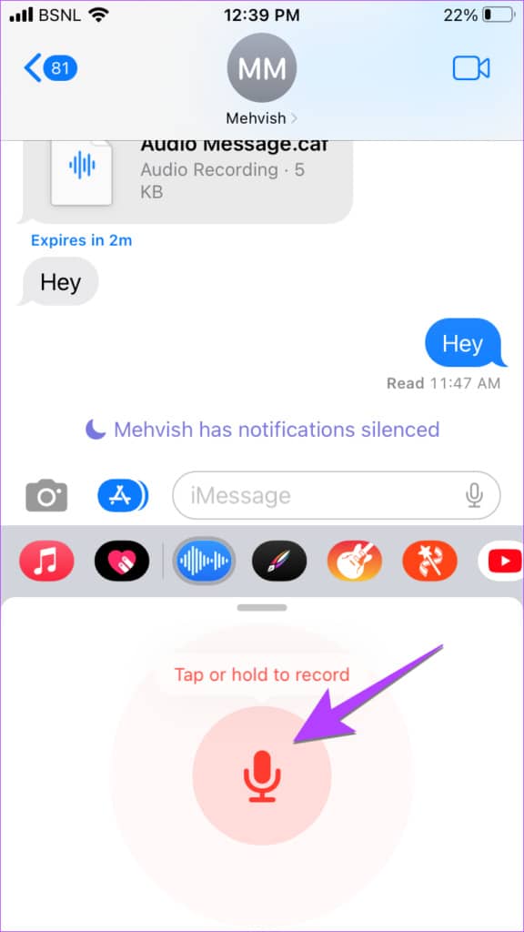 如何在 iPhone 上发送语音消息（iOS 16 更新）-第12张图片-嘻嘻笔记