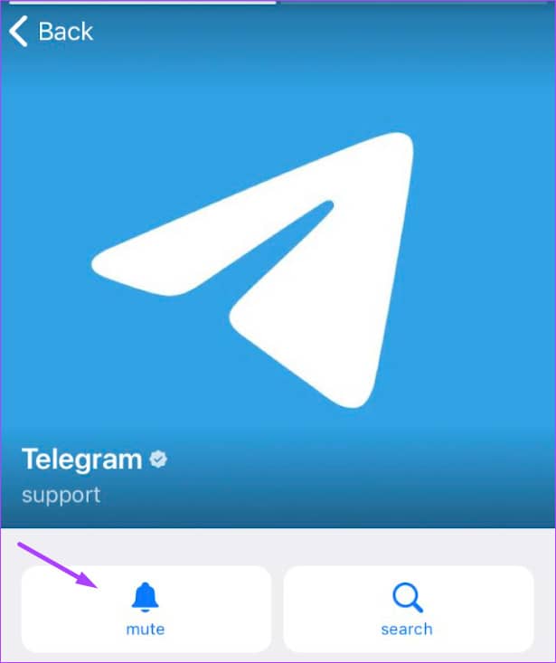 如何在桌面版和移动版 Telegram 中创建自定义静音持续时间-第15张图片-嘻嘻笔记