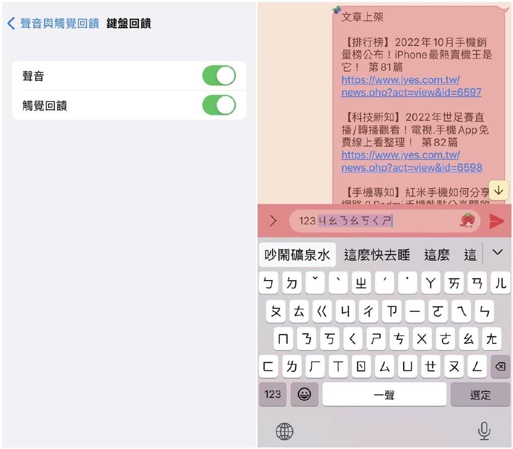 iPhone键盘打字如何开启/关闭震动和声音？手机小键盘回馈设定-第4张图片-嘻嘻笔记