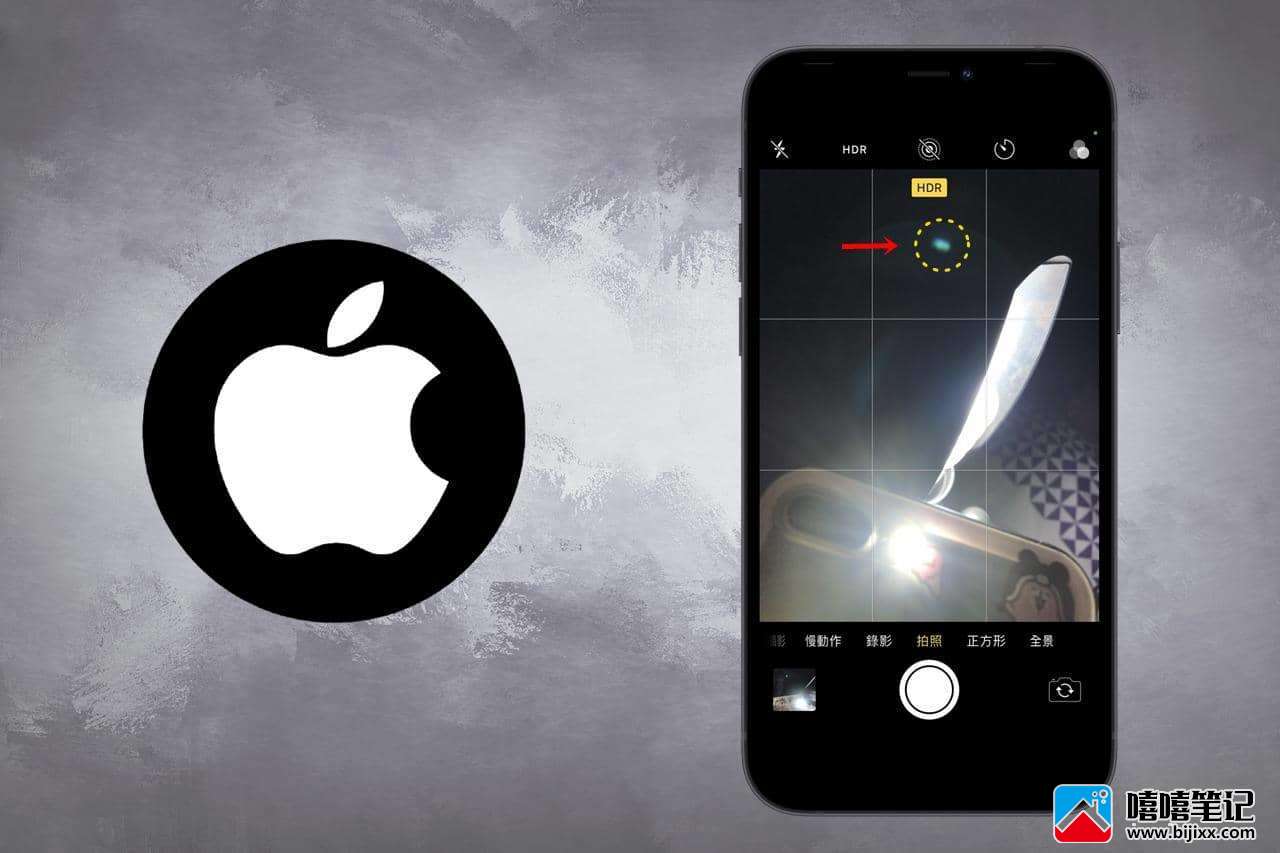 iPhone拍照耀光绿点如何消除？解决方式看这里！-第1张图片-嘻嘻笔记