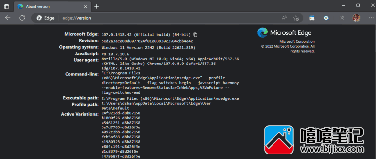 如何找出您现在在 Windows 11 上使用的 Edge 浏览器版本-第3张图片-嘻嘻笔记
