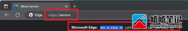 如何找出您现在在 Windows 11 上使用的 Edge 浏览器版本-第2张图片-嘻嘻笔记