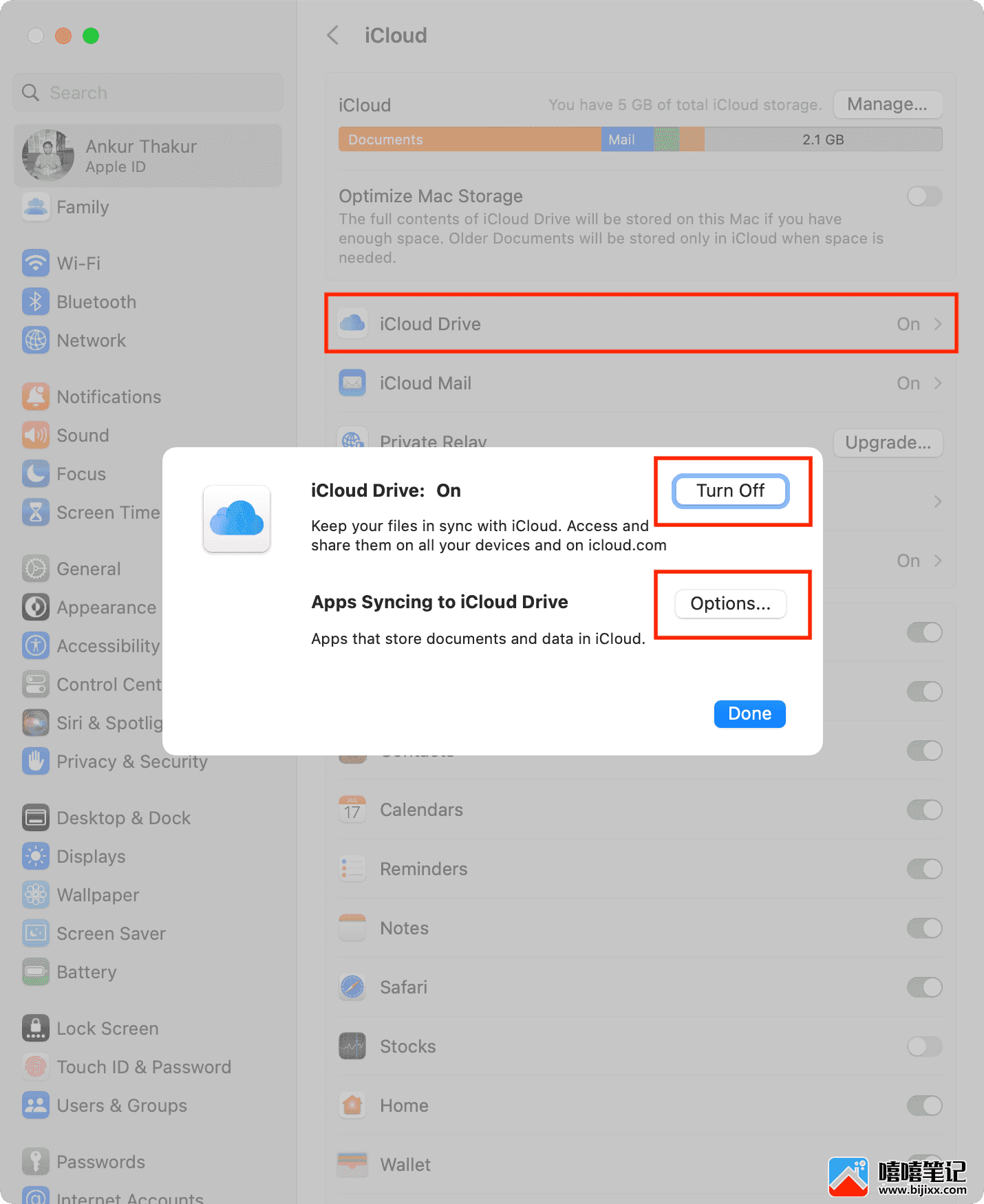 如何在 Mac 上使用 iCloud 和 iCloud Drive-第4张图片-嘻嘻笔记